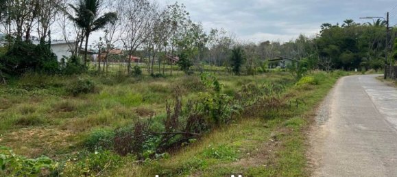  Commercial property in Phuket, Thailand No. 24516 2