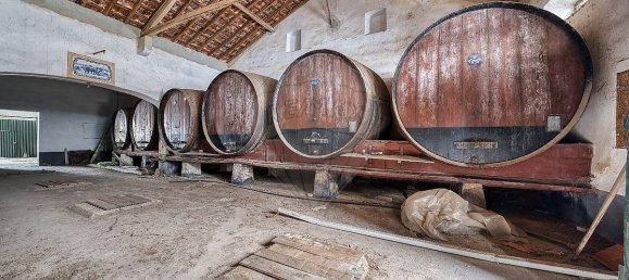 Casa T8 em Alpiarça, Portugal N.º 25374 41