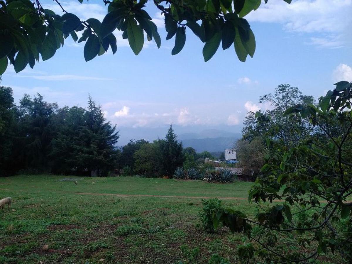 Terrain à Heroica Matamoros, Mexico No. 205650