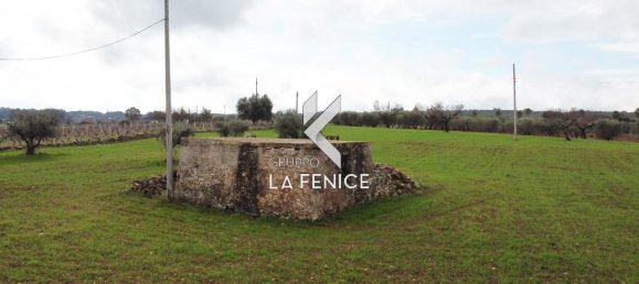 2-Zimmer Haus in Martina Franca, Italy, Nr. 21817 16