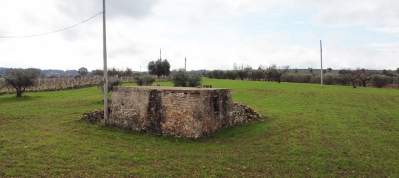 2-Zimmer Haus in Martina Franca, Italy, Nr. 21817 4