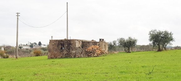 2-Zimmer Haus in Martina Franca, Italy, Nr. 21817 6