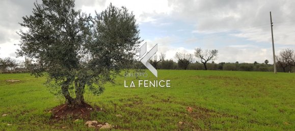 2-Zimmer Haus in Martina Franca, Italy, Nr. 21817 19