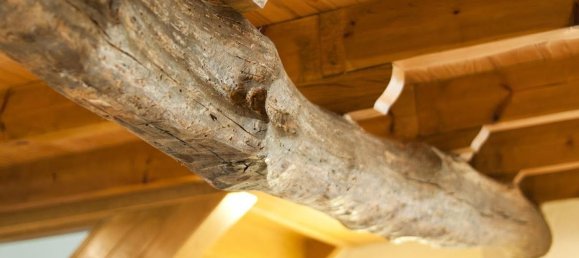 5 Schlafzimmer Haus in Basque Autonomous Community, Spain, Nr. 150182 23