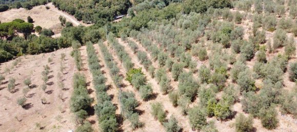 6 rooms House in Monte San Savino, Italy No. 210023 7