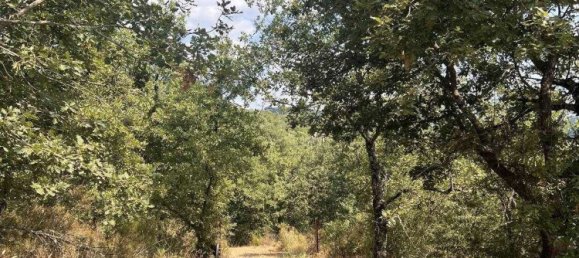 6 rooms House in Monte San Savino, Italy No. 210023 24