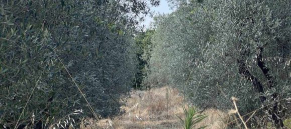 6 rooms House in Monte San Savino, Italy No. 210023 14