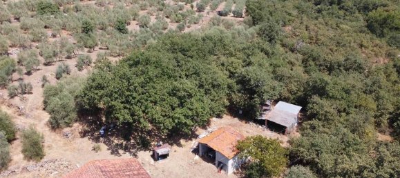 6 rooms House in Monte San Savino, Italy No. 210023 9