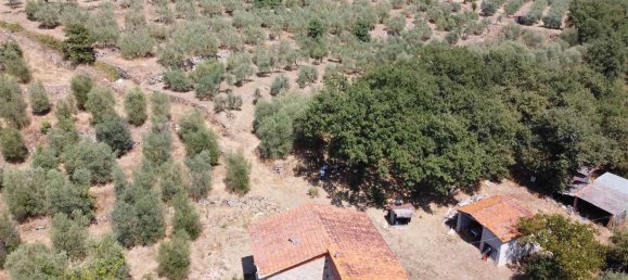 6 rooms House in Monte San Savino, Italy No. 210023 10