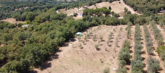 6 rooms House in Monte San Savino, Italy No. 210023 8