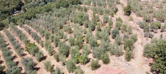 6 rooms House in Monte San Savino, Italy No. 210023 6