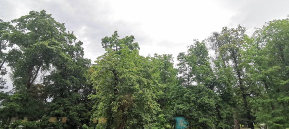 296m² Commercial property in Spittal an der Drau, Austria No. 128202 10