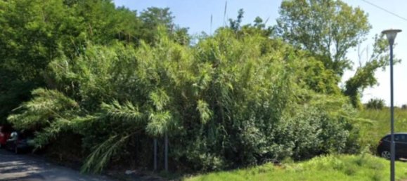 Terrain à Forlì, Italy 18926m² No. 322106 8