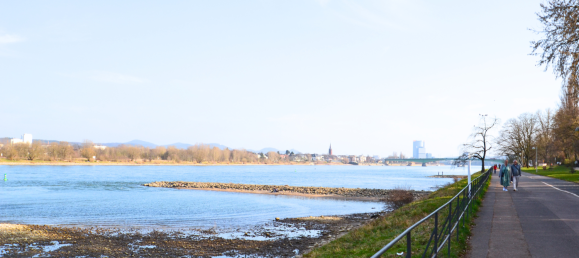 Dúplex de 3 dormitorios en Bonn, Germany No. 56822 26