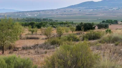 قطعة أرض في Yecla, Spain 15496متر مربع رقم 240087