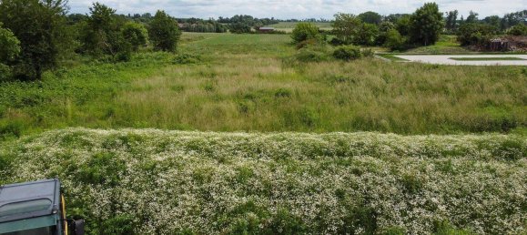 Grundstück in Nordsachsen, Germany, Nr. 296184 6