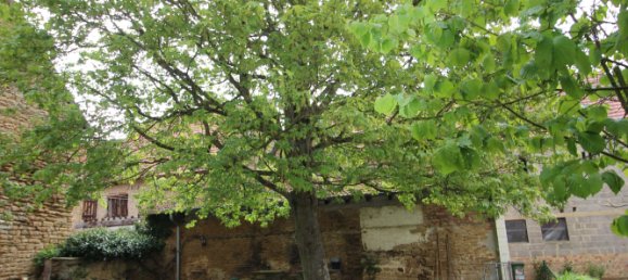 3 bedrooms House in Donnersbergkreis, Germany No. 75573 21