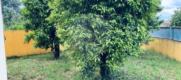 4 bedrooms House in Condeixa a Nova, Portugal No. 176232 8