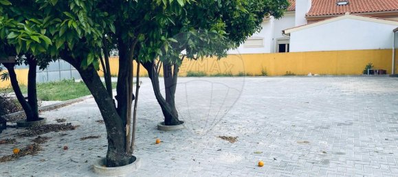 4 bedrooms House in Condeixa a Nova, Portugal No. 176232 12