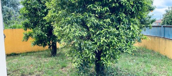 4 bedrooms House in Condeixa a Nova, Portugal No. 176232 9