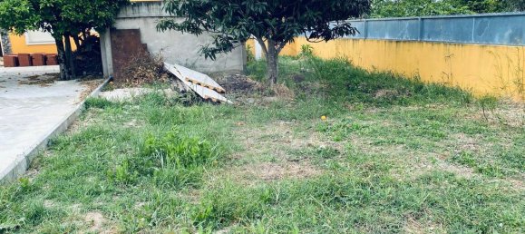 4 bedrooms House in Condeixa a Nova, Portugal No. 176232 19