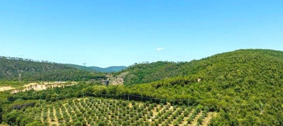 12 bedrooms Villa in Civitella Paganico, Italy No. 78396 11