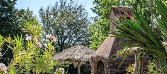 12 bedrooms Villa in Civitella Paganico, Italy No. 78396 6