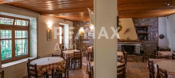 3 Schlafzimmer Gebäude in Mouresi, Greece, Nr. 782 8