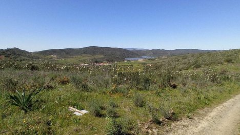  قطعة أرض في Sao Bartolomeu de Messines, Portugal 803240متر مربع رقم 9700