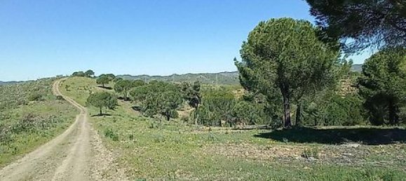  قطعة أرض في Sao Bartolomeu de Messines, Portugal 803240متر مربع رقم 9700 13