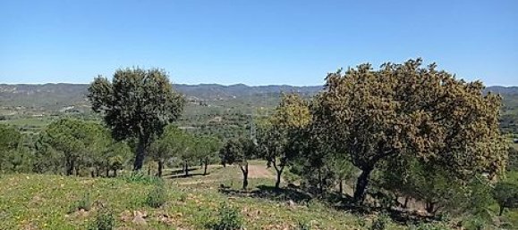  قطعة أرض في Sao Bartolomeu de Messines, Portugal 803240متر مربع رقم 9700 2