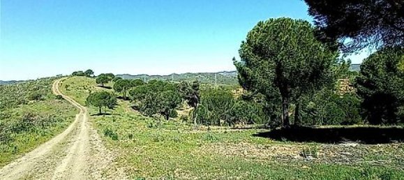  قطعة أرض في Sao Bartolomeu de Messines, Portugal 803240متر مربع رقم 9700 10