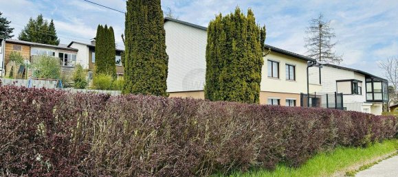 4 rooms House in Grieskirchen, Austria No. 142901 4