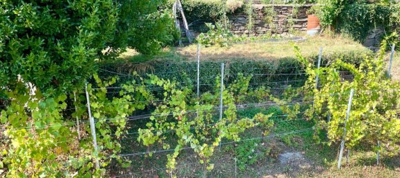 4 rooms House in Pramollo, Italy No. 307009 29