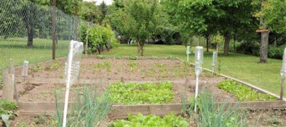 5غرفة منزل في Hornstein, Austria رقم 86803 5