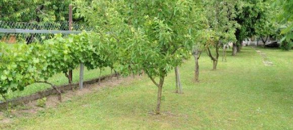 5غرفة منزل في Hornstein, Austria رقم 86803 7