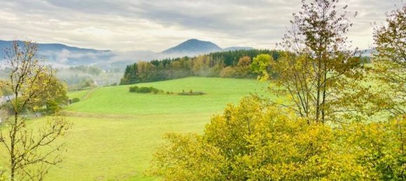 2 chambres Maison à Senones, France No. 158361 10