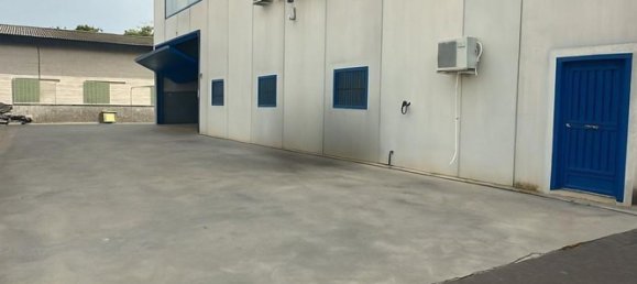Almacén en El Palmar, Spain 1500 m² No. 153006 2