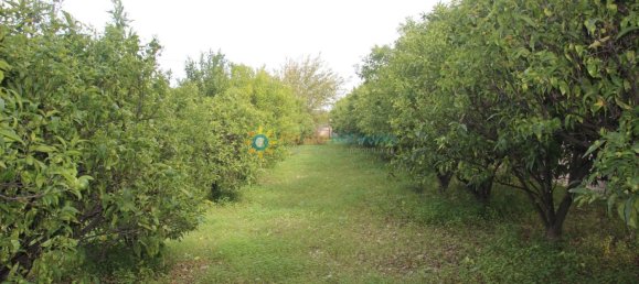 1 Schlafzimmer Haus in Valencia, Spain, Nr. 135283 37