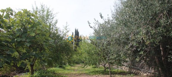 1 Schlafzimmer Haus in Valencia, Spain, Nr. 135283 34