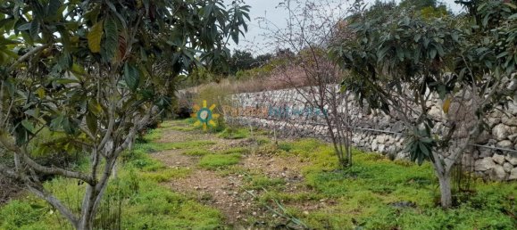 1 Schlafzimmer Haus in Valencia, Spain, Nr. 135283 38