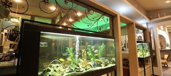 2000m² Townhouse in Chalkidiki, Greece No. 3785 8