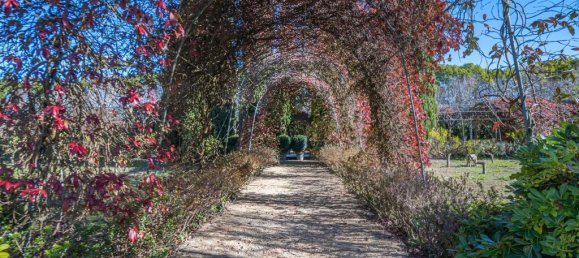  قطعة أرض في Cantanhede, Portugal رقم 112341 49