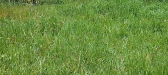 Дом с 4 спальнями в Иньоль, Франция № 72611 40