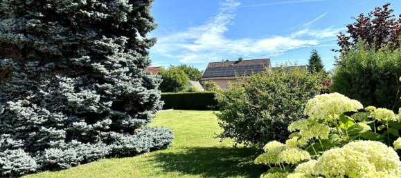 6-Zimmer Haus in Gunskirchen, Austria, Nr. 128264 4