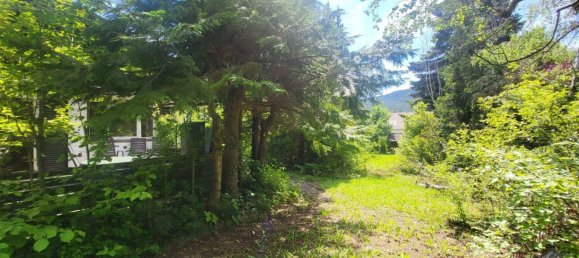 3-Zimmer Bungalow in Winzendorf-Muthmannsdorf, Austria, Nr. 187561 13