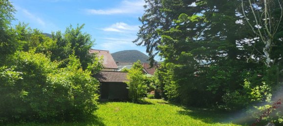 3-Zimmer Bungalow in Winzendorf-Muthmannsdorf, Austria, Nr. 187561 16