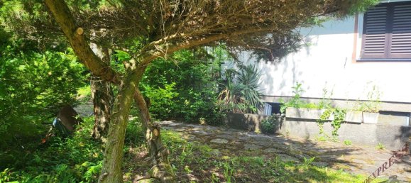 3-Zimmer Bungalow in Winzendorf-Muthmannsdorf, Austria, Nr. 187561 17