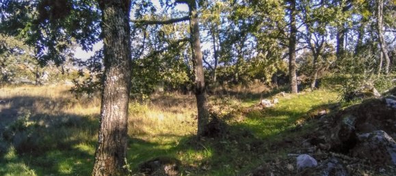 1 bedroom House in Guarda, Portugal No. 157065 8