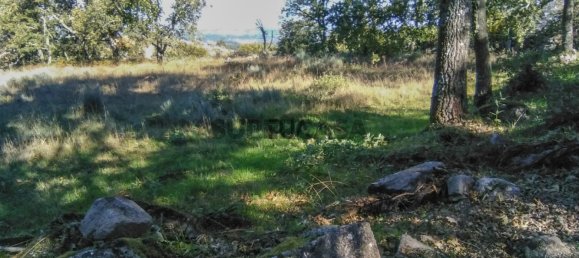 1 bedroom House in Guarda, Portugal No. 157065 6